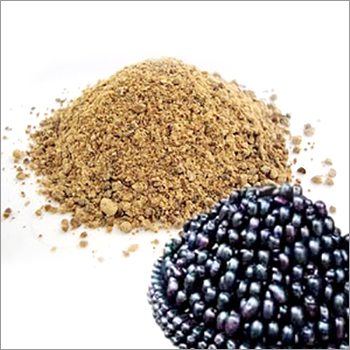 jamun-powder